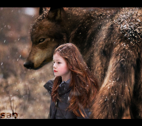 Jacob with Renesmee 8